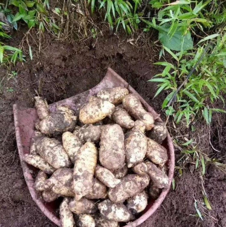 ScreenShot_2025-09-30_143526_331