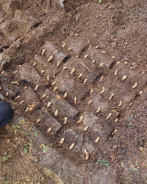 ScreenShot_2025-10-07_113239_825