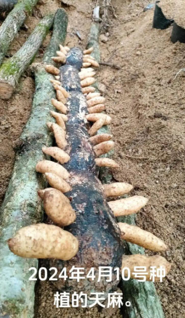 ScreenShot_2025-10-07_113332_255