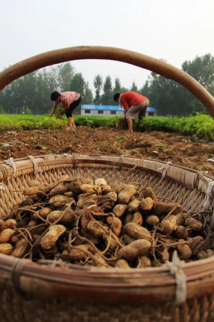 ScreenShot_2025-10-07_113417_616