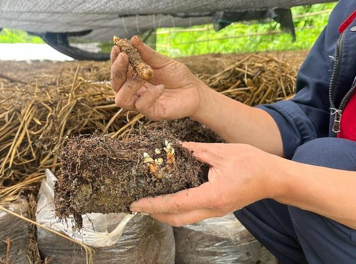 ScreenShot_2025-10-07_113531_504