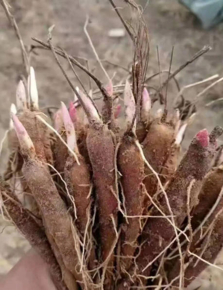 ScreenShot_2025-10-07_113946_992