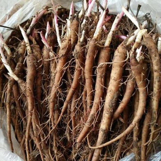 ScreenShot_2025-10-07_114656_936