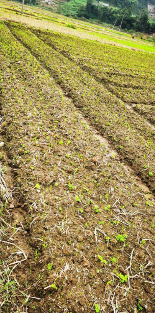 ScreenShot_2025-10-07_114833_318