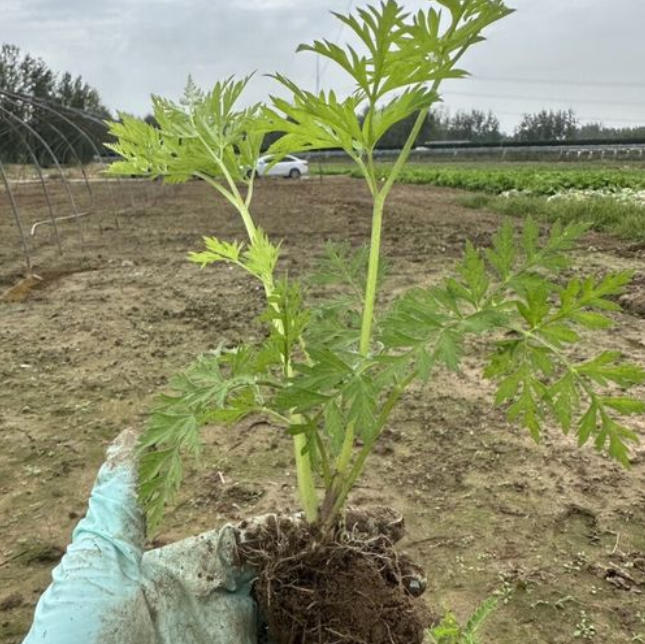 ScreenShot_2025-10-07_114916_215