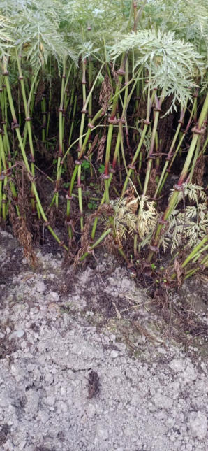 ScreenShot_2025-10-07_114957_334