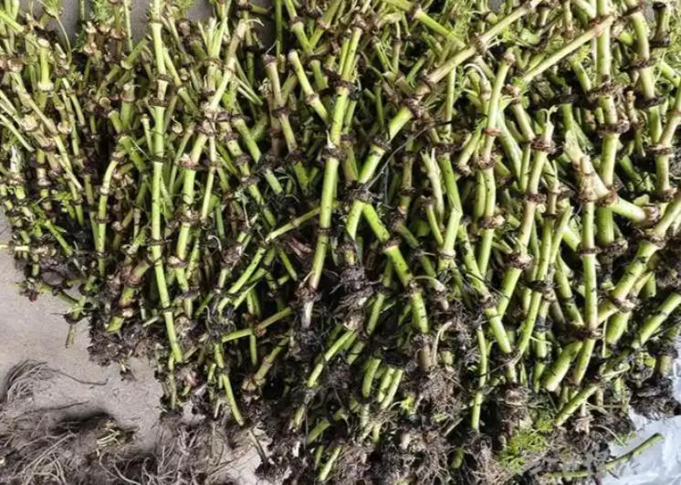 ScreenShot_2025-10-07_115043_191