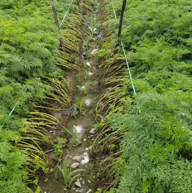 ScreenShot_2025-10-07_115122_576