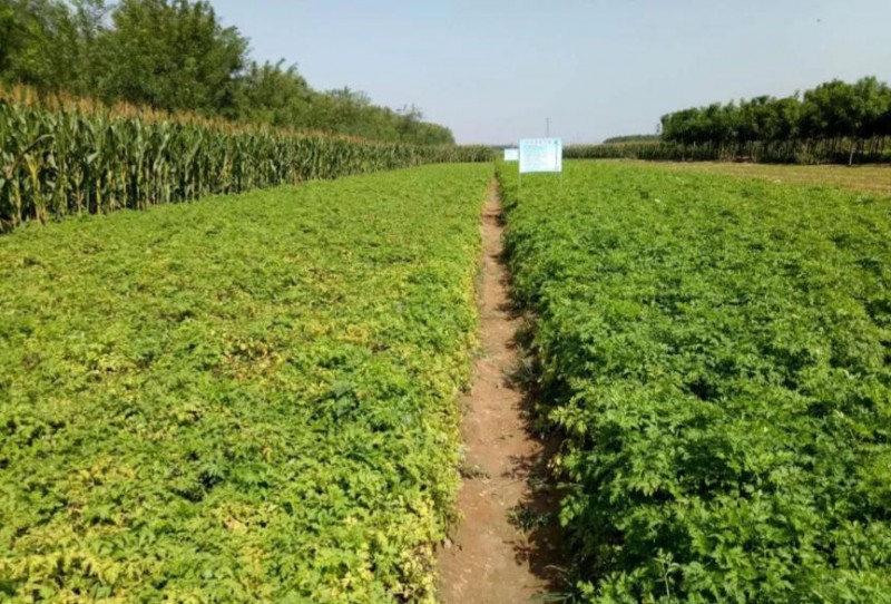 ScreenShot_2025-10-07_115248_902