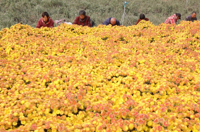 ScreenShot_2025-10-07_142635_042