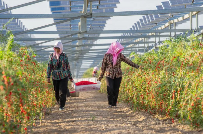 ScreenShot_2025-10-07_143039_051