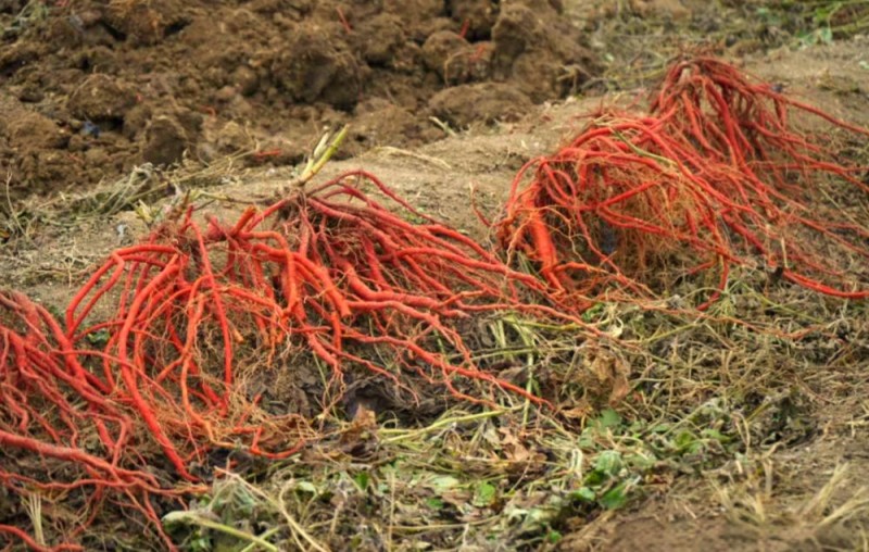 ScreenShot_2025-10-07_143226_099