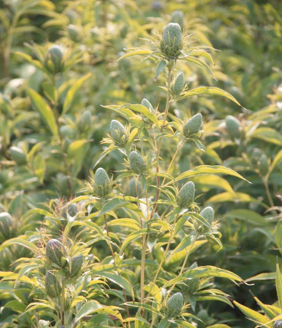 ScreenShot_2025-10-07_143333_298