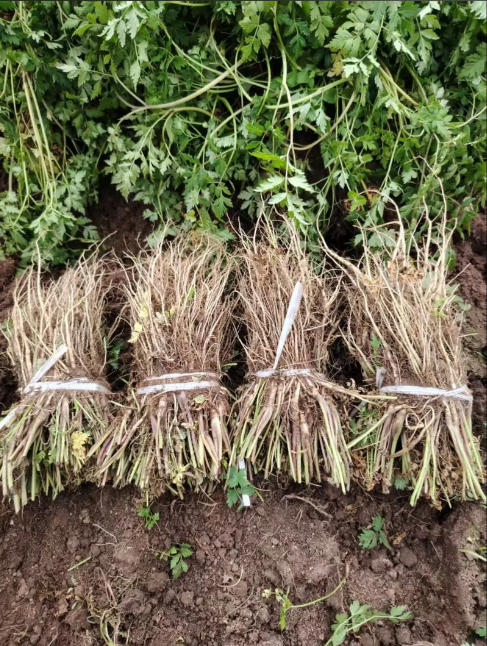 ScreenShot_2025-10-07_143437_201