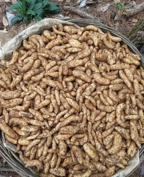 ScreenShot_2025-10-07_143554_176