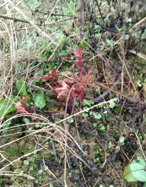 ScreenShot_2025-10-07_143644_169