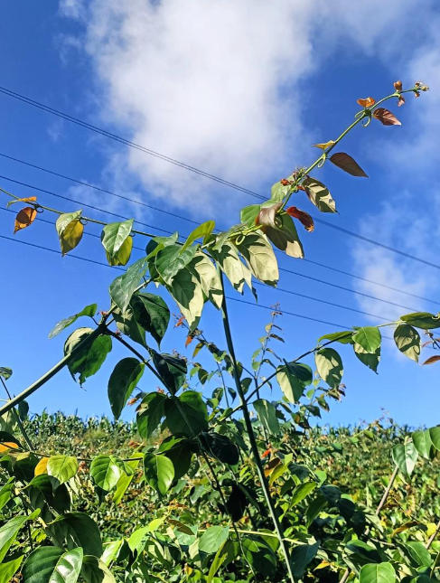 ScreenShot_2025-10-07_144004_185