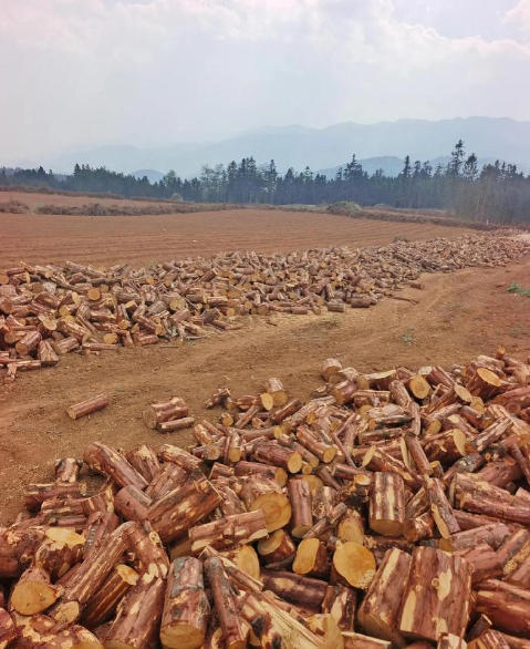 ScreenShot_2025-10-07_144152_145